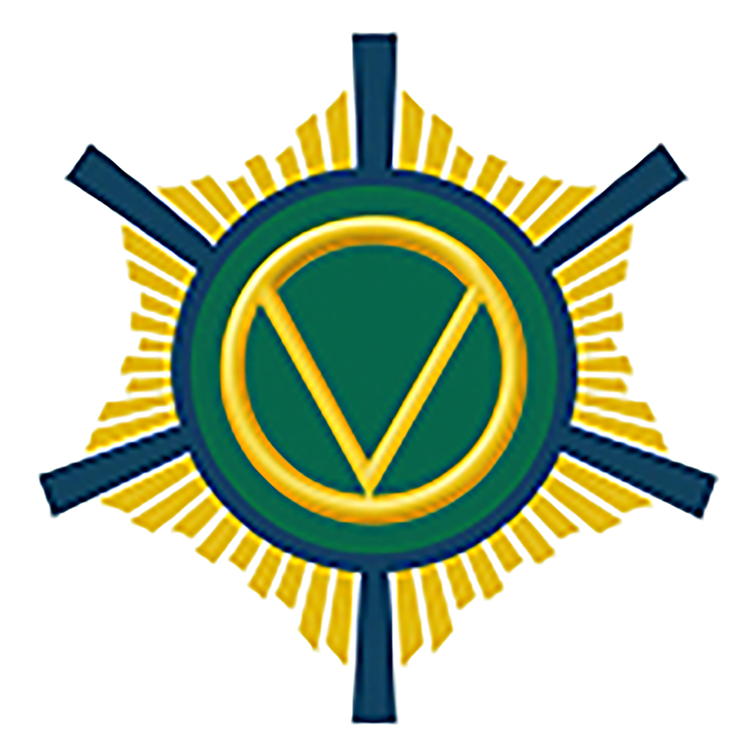 Проект VQ - энергия жизни