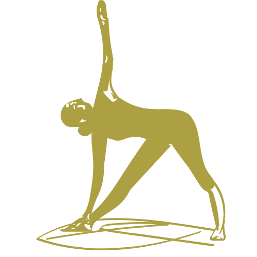 Урок 1. Анатомия и физиология тела.