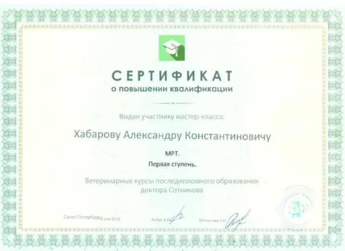 Сертификат 10 Хабарова А.К.