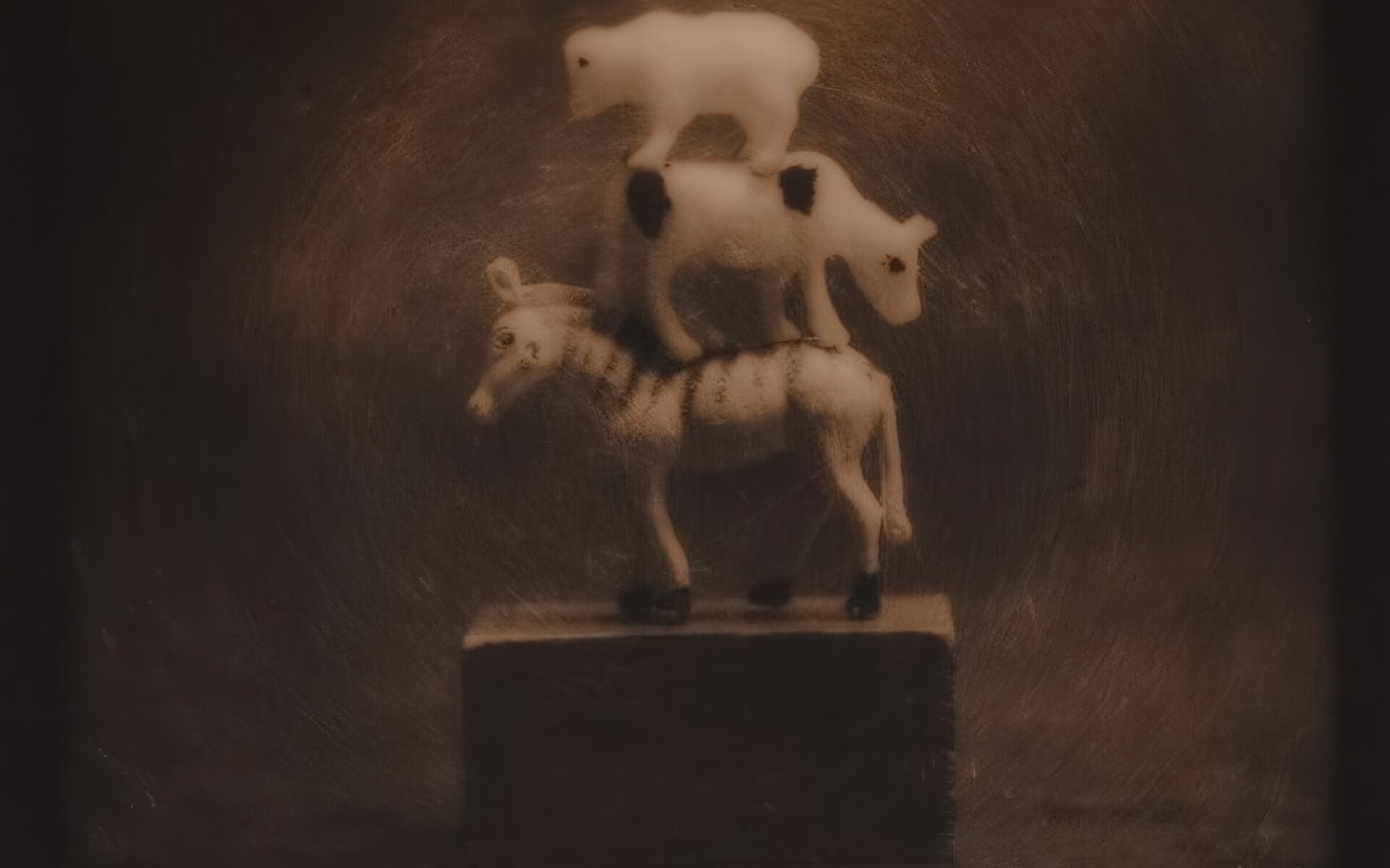 Opowieści Pawła Żaka. Аповесці Паўла Жака