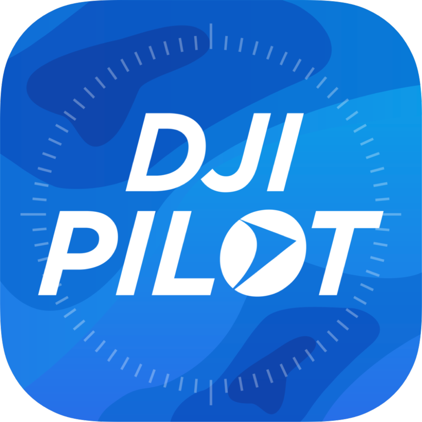 Приложение джей. DJI Pilot. DJI пилот надпись. DJI Pilot logo.