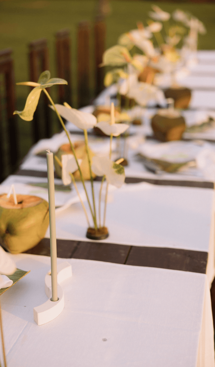 Neponaroshky-wedding-svadba-krym