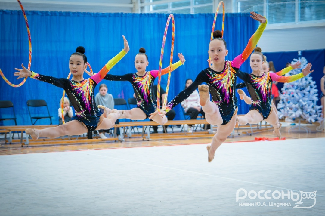 Областные спортивные соревнования по художественной гимнастике «На призы Деда Мороза»