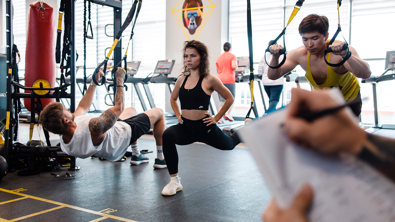 Левел фитнес. Фитнес клуб Калуга. Фитнес-клуб шевелись Краснодар.