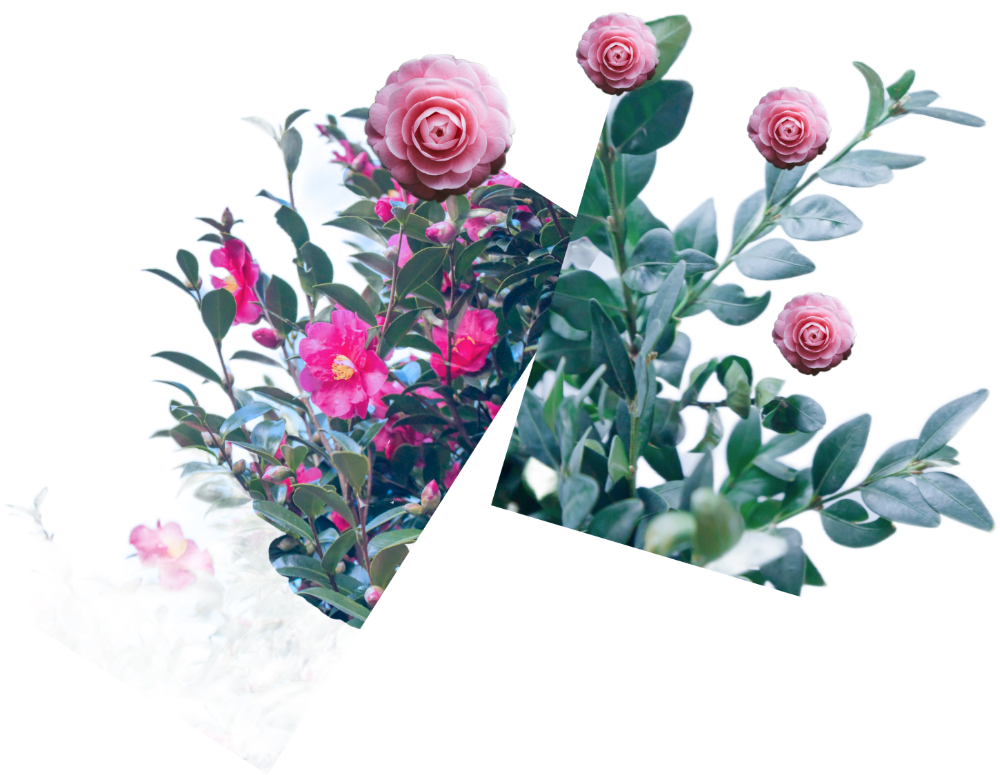 Спектакль-променад «Прогулка с Чеховым»