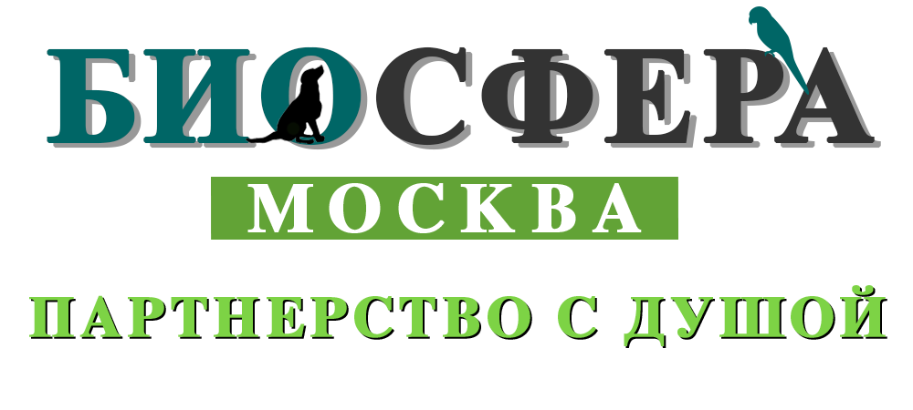 Биосфера московская ул 4 фото Картонные когтеточки оптом от производителя