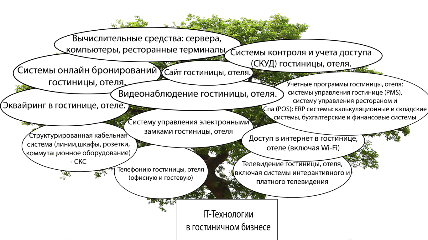 Инновационный проект в туризме