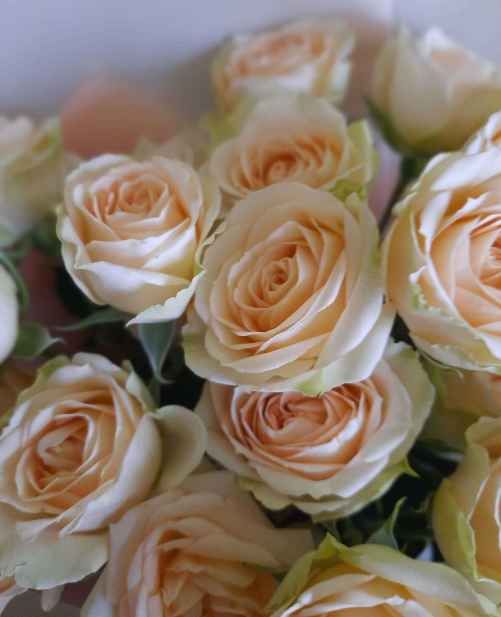 букет на свидание