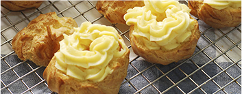 производство сухих ингредиентов, сухие ингредиенты купить, сухой сыр, производство сырного порошка, сырный порошок, сырный порошок купить, сухая сметана, сухие сливки, сухой творог, сухой йогурт, казеинат купить, FineCheese