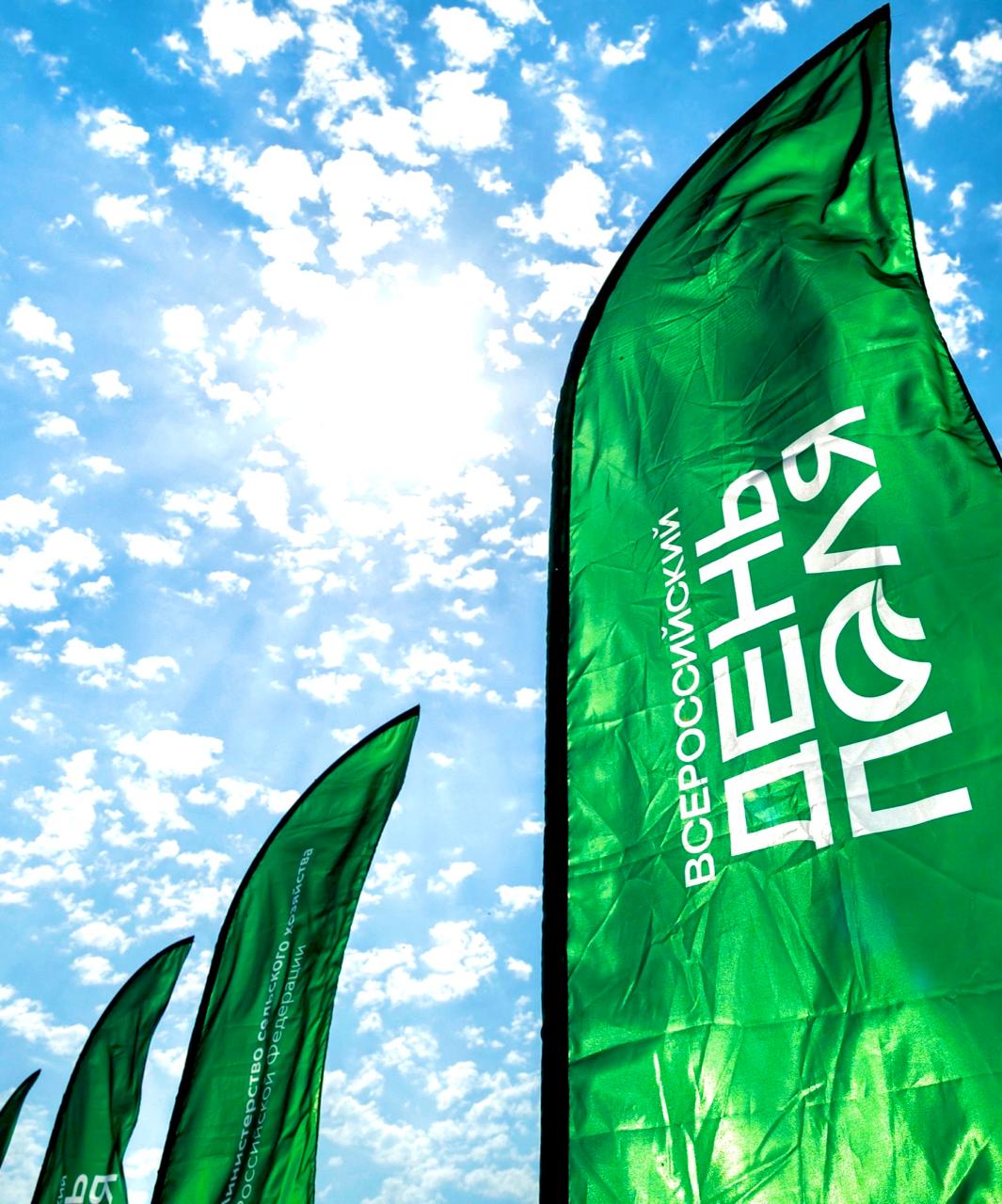 апипульс, умный улей, цифровой улей, цифровая пасека, день поля, россельхозбанк, ростелеком, мониторинг улья, датчики в улей, цифровизация апк