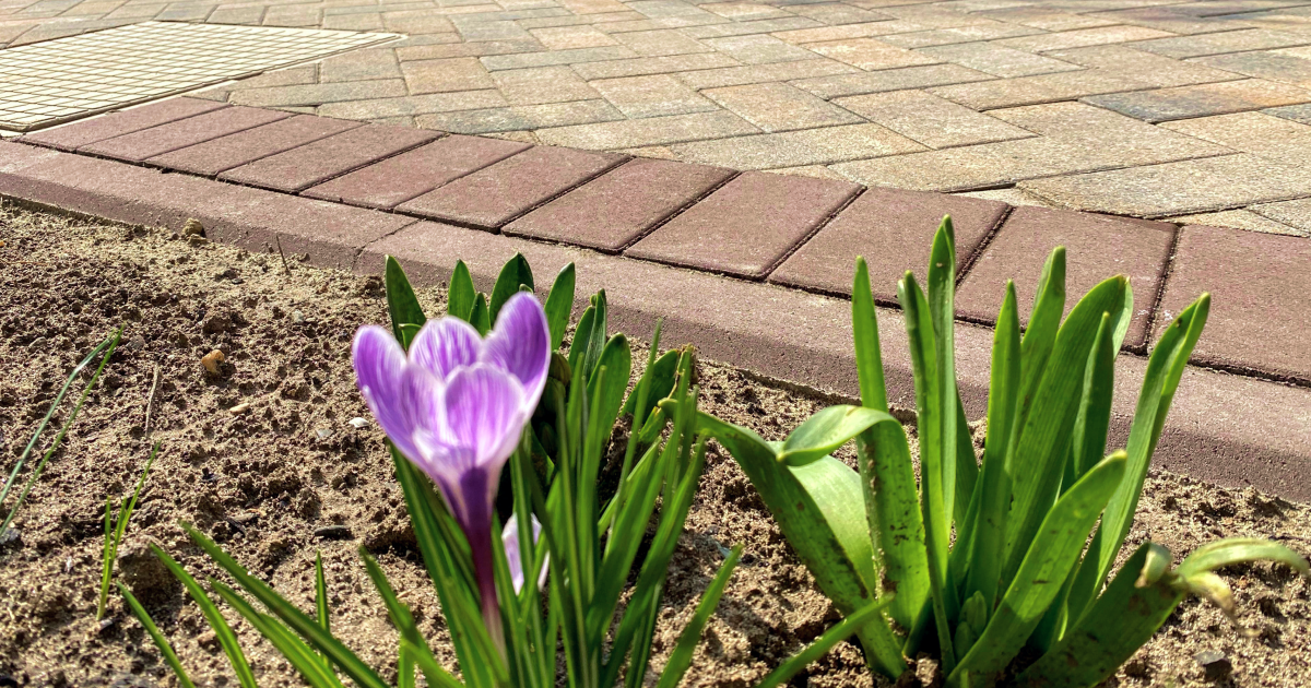 Весенняя распродажа тротуарной плитки от завода-производителя ...