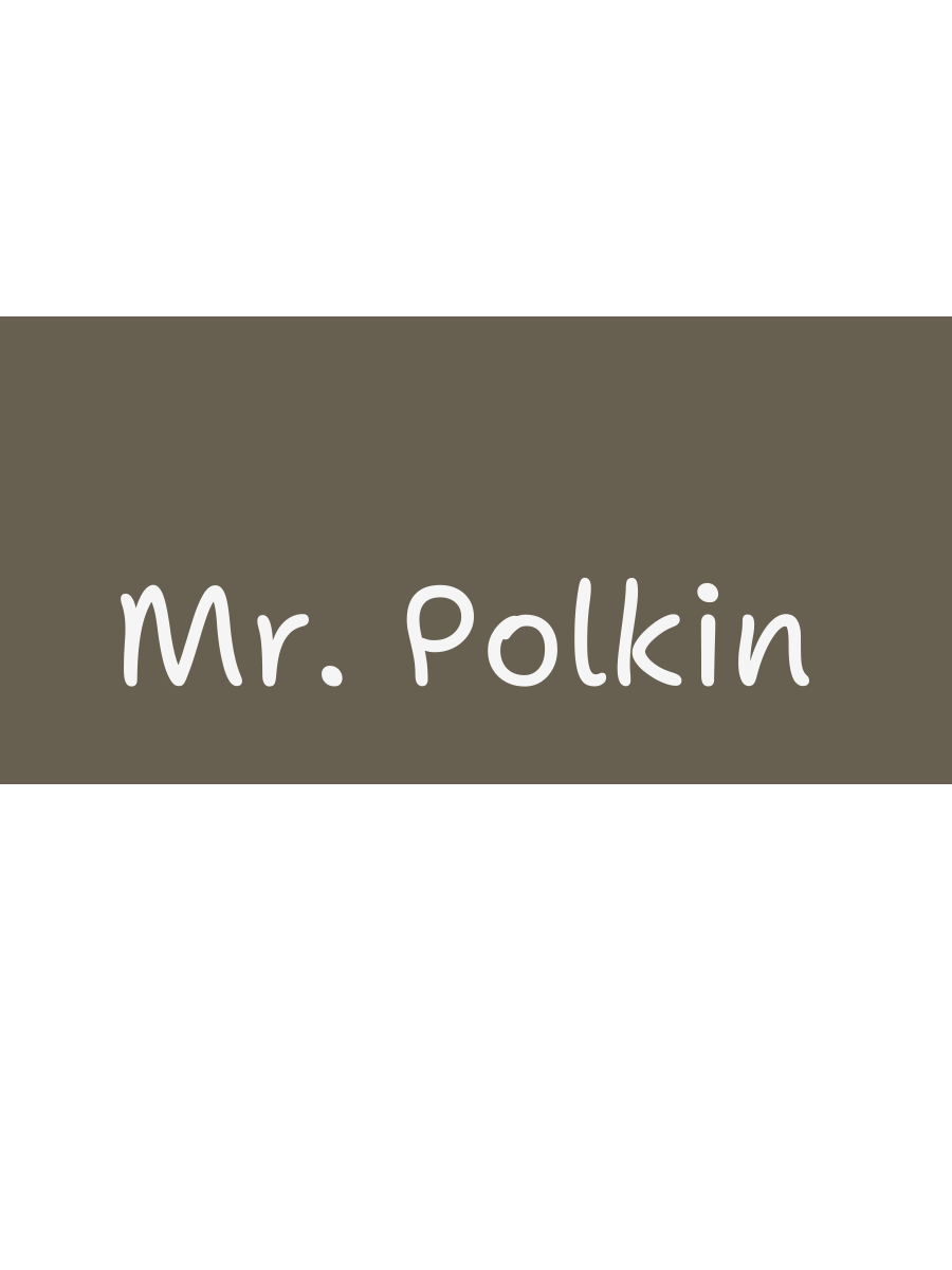 Mr. Polkin