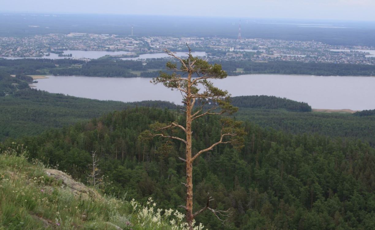 Уральские горы Сугомак