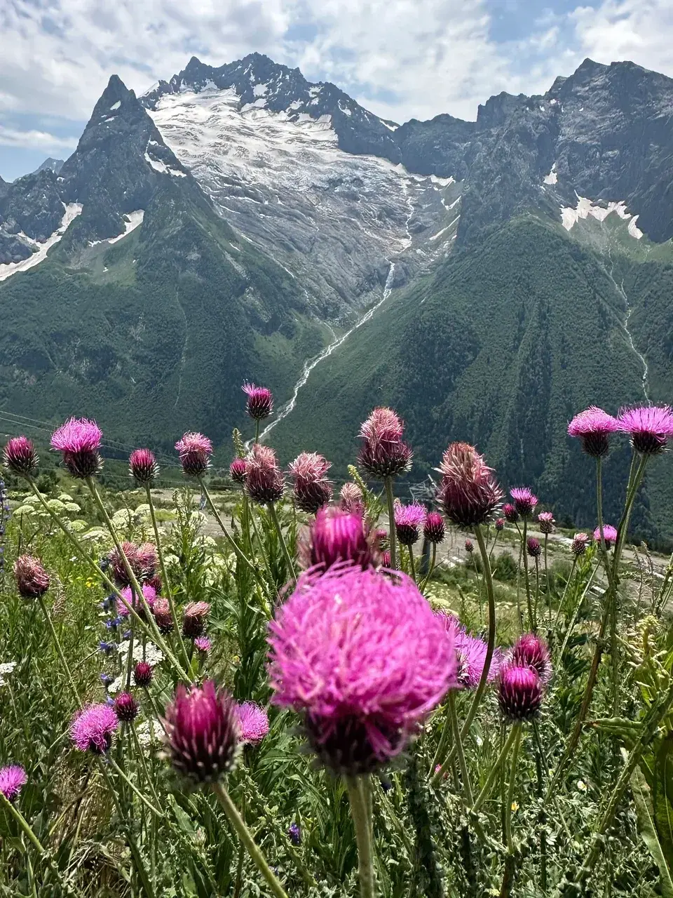 Nature view