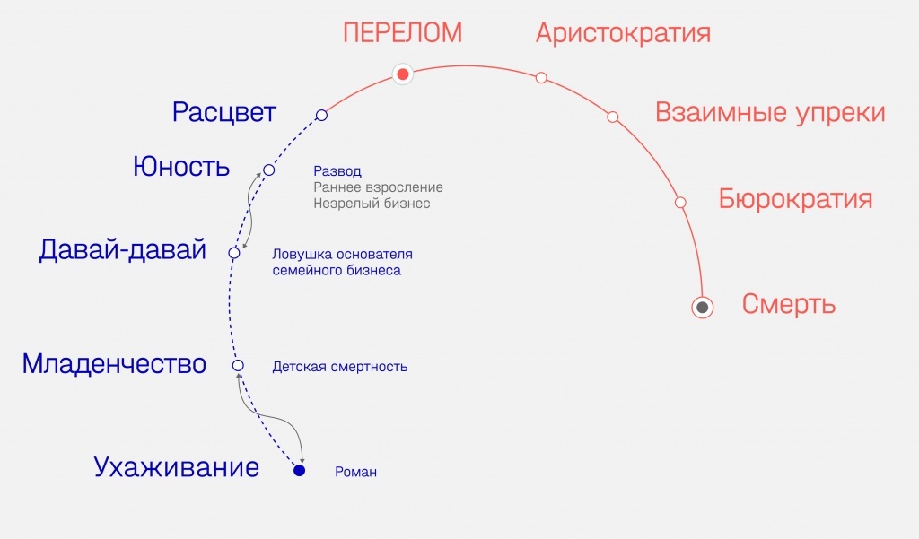 Как правильно трактовать зубчики на схеме адизеса перед этапами младенчество бюрократизация и юность