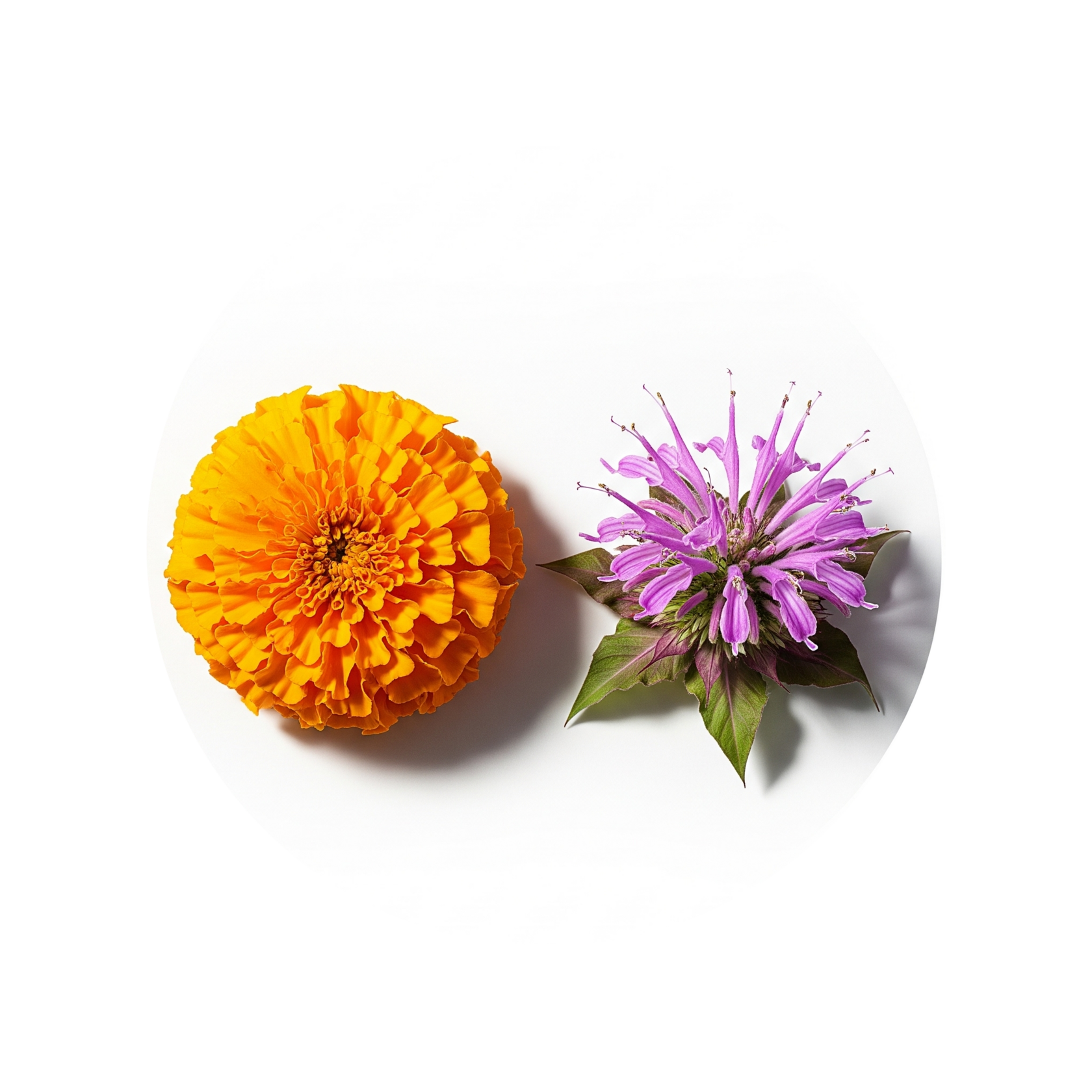 Серный крем Teofarm