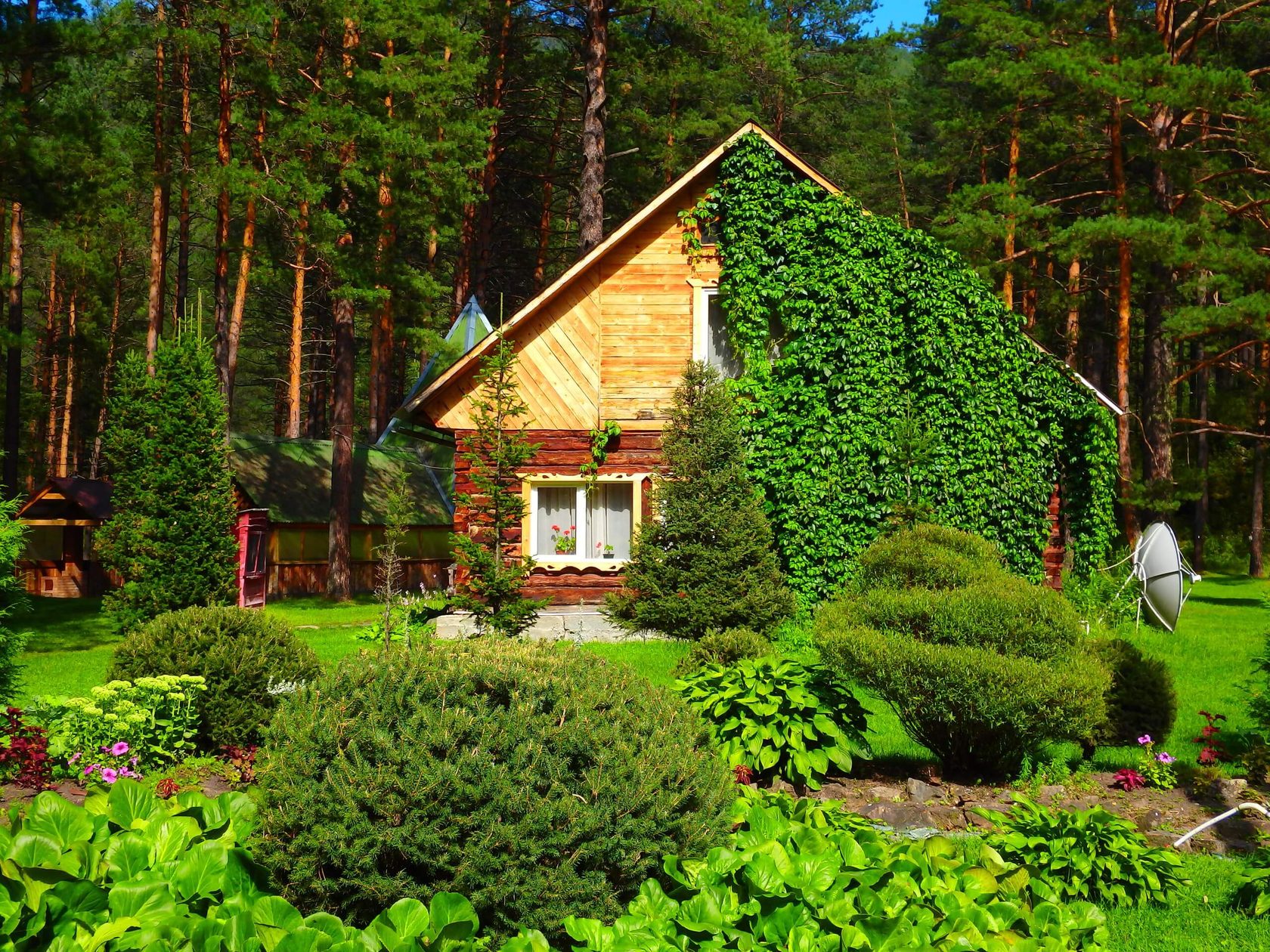 Алтайский ботанический сад