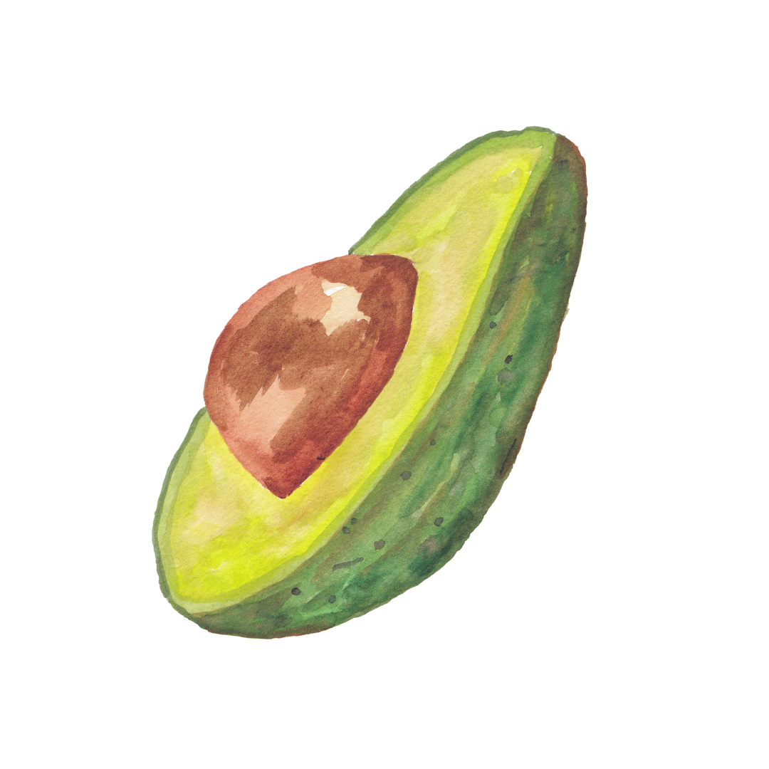 ЗОЖ-ПРОГРАММЫ