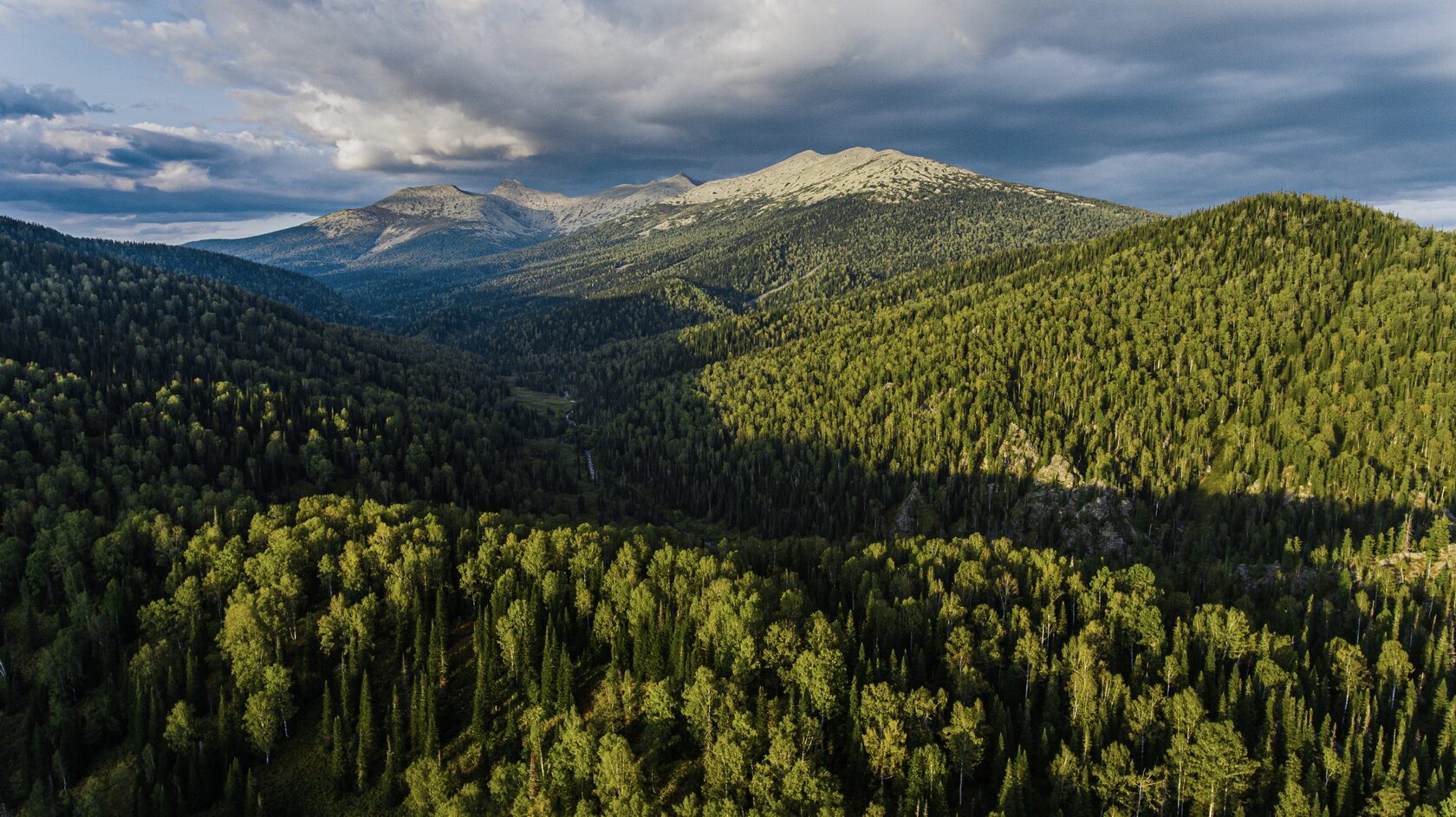 Емізіктердің шегеленгені туралы порно фильмді қараңыз. Желідегі секс skonm