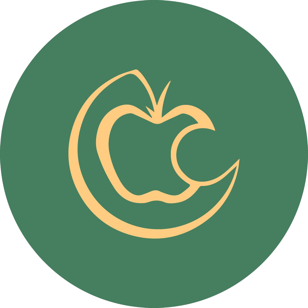 О проекте