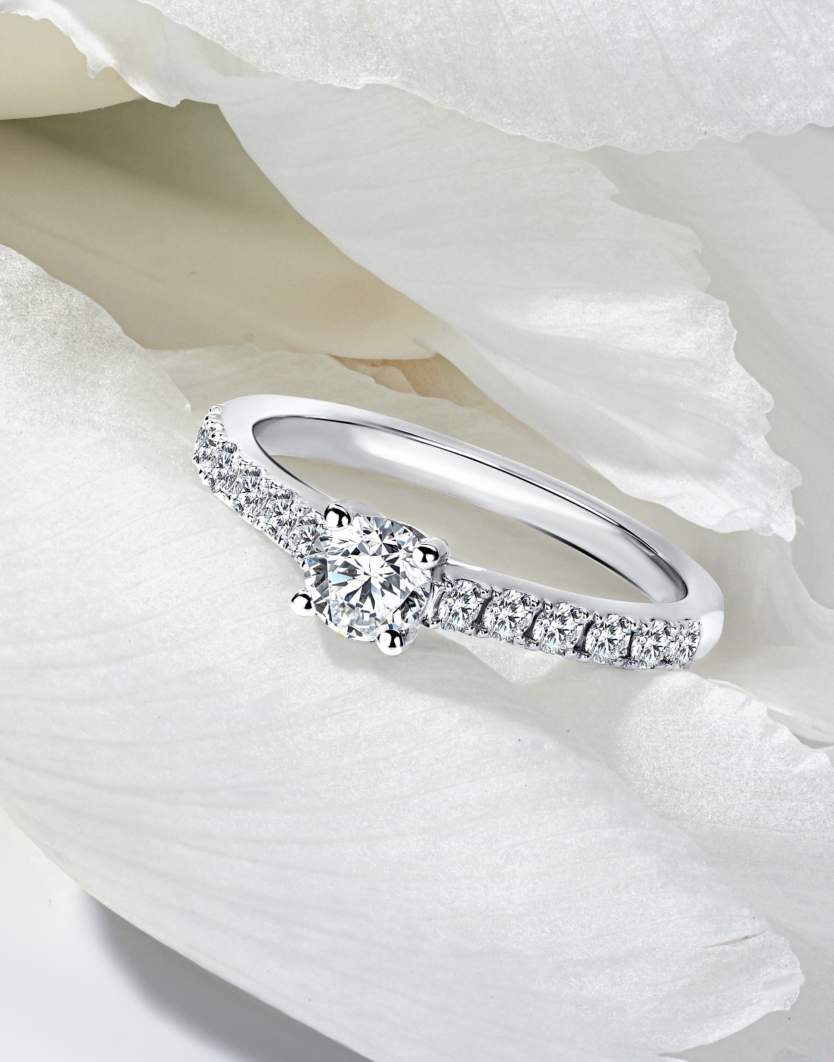 Шоурум BERLIANI в Москве