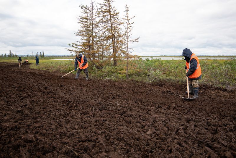 Restoration of fertile soil layer around ​​CHPP-3 of the Norilsk Fuel and Energy Company.