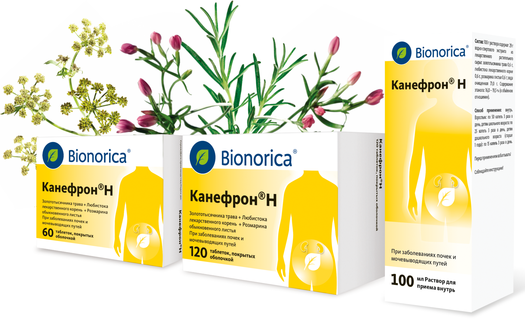 Растительный препарат для почек. Bionorica канефрон. Канефрон 60 шт. Канефрон 120 шт. Канефрон н (таб.п/о n60 Вн ) Bionorica GMBH-Германия.