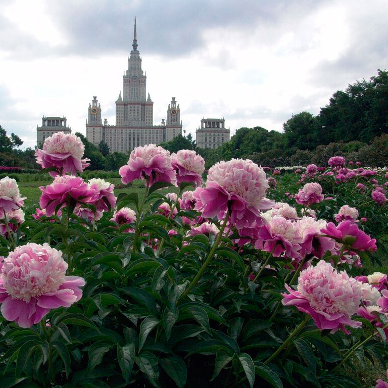 АКАДЕМИЧЕСКИЙ РИСУНОК КУРСЫ