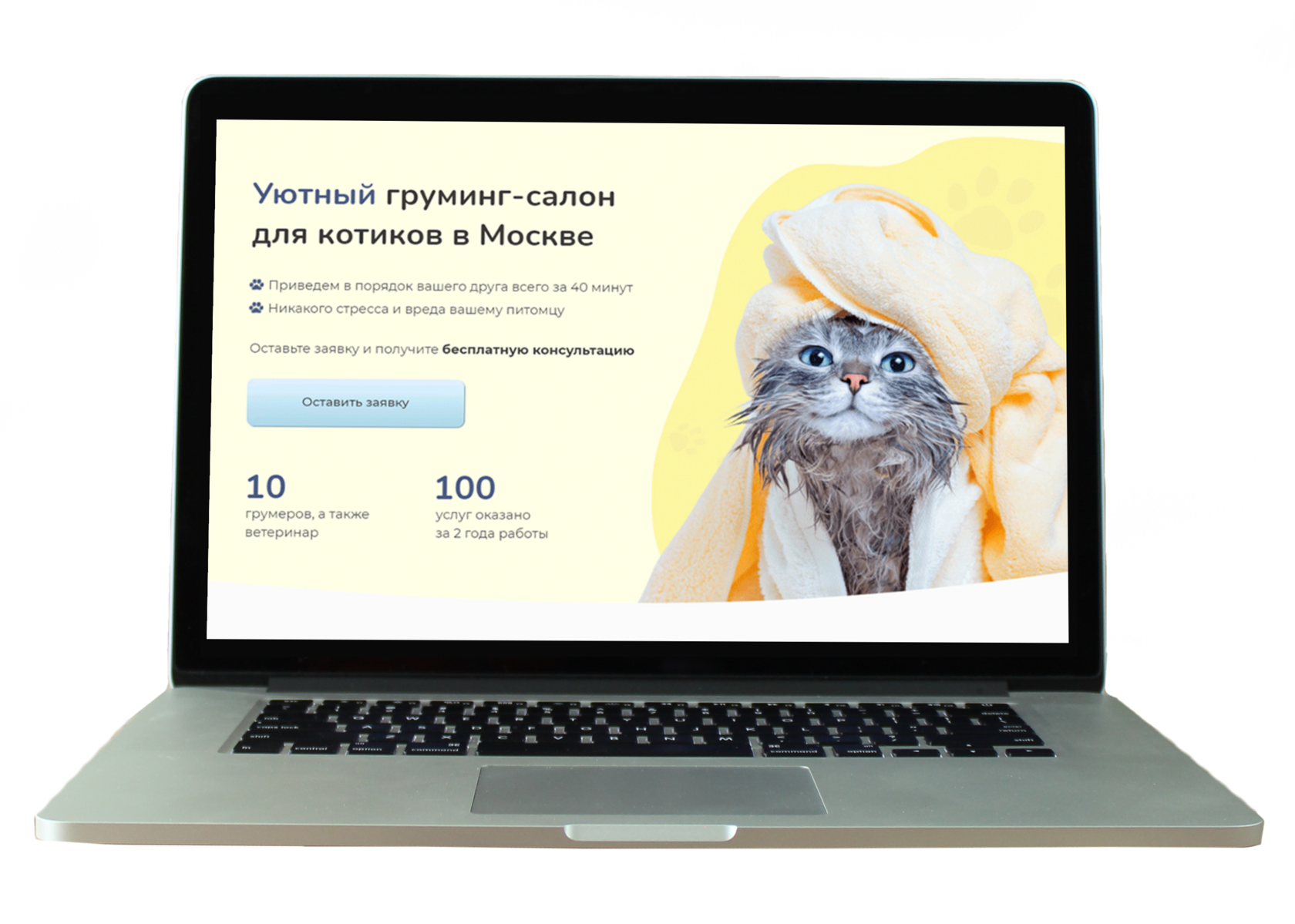 сайт под ключ, заказать создание сайта, сайт на тильде