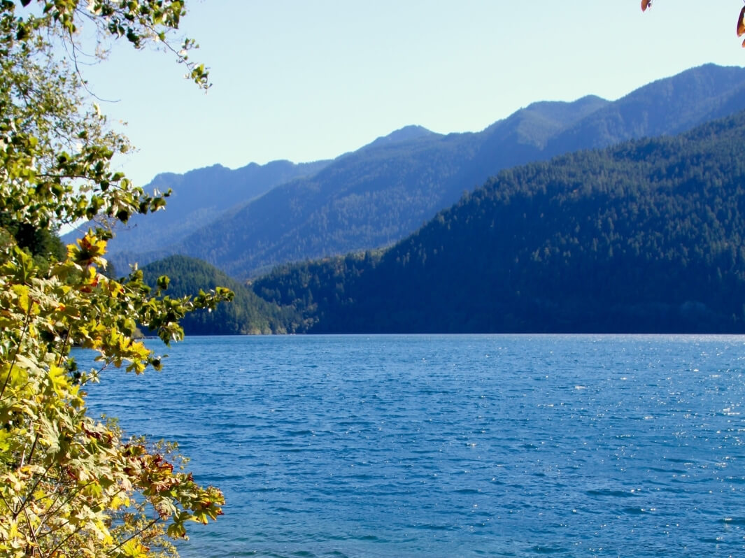 Olympic National Park