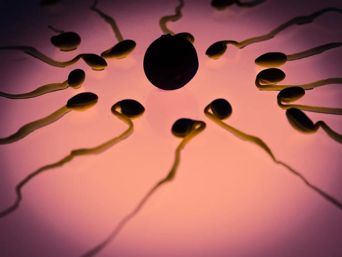Секс при менструации: за и против