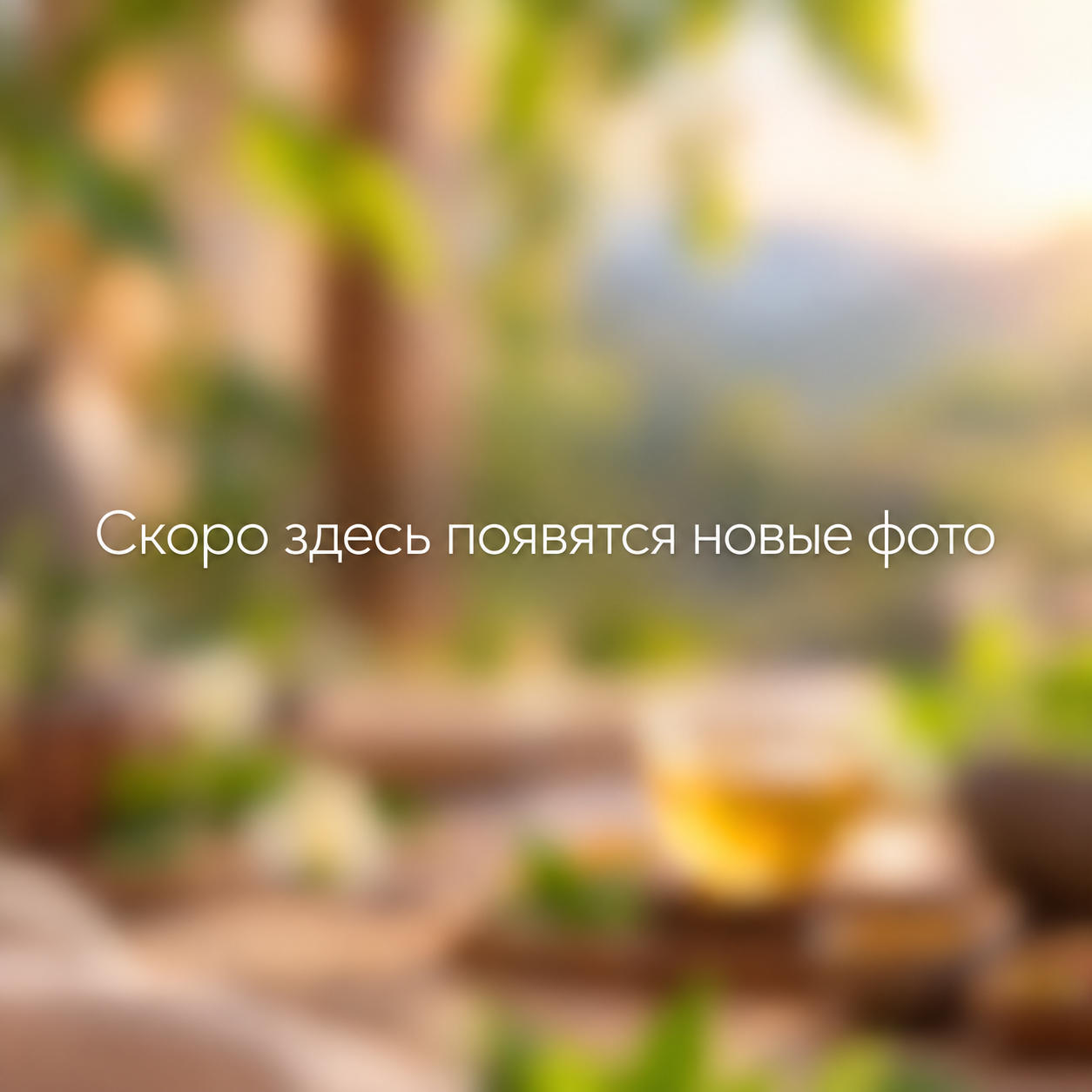 Индийское аюрведическое меню