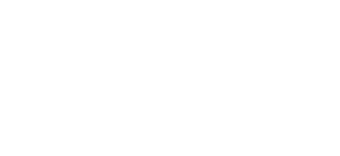 Vetonit
