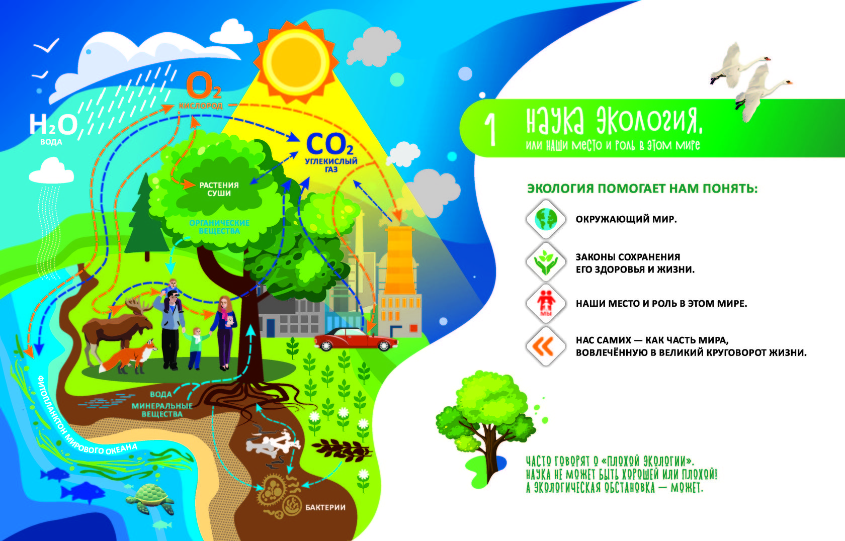 Инфографика экология для детей