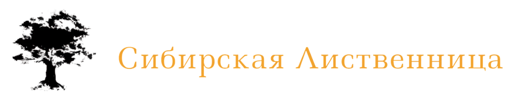 СИБИРСКАЯ ЛИСТВЕННИЦА 