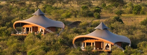 парк масаи мара в африке