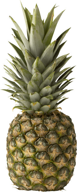 Ананас