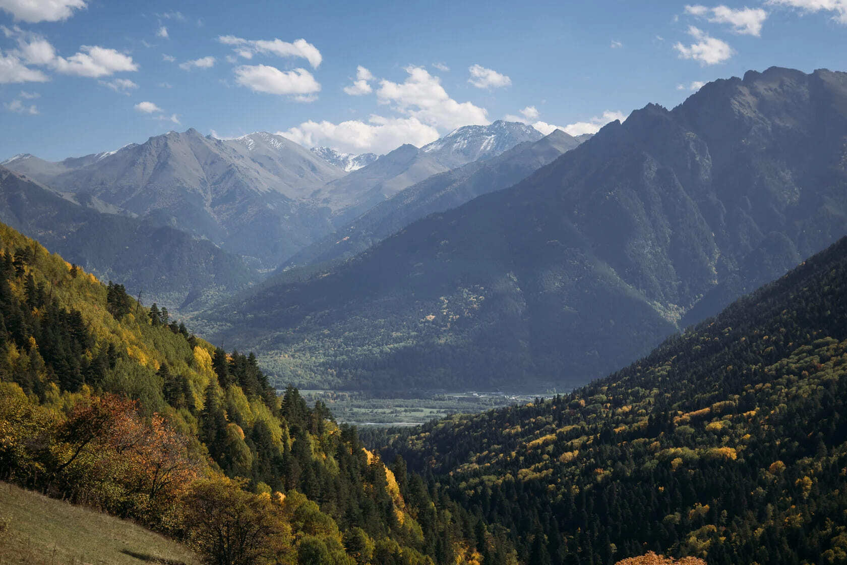 Долина Архыза, хвойные леса и горные склоны