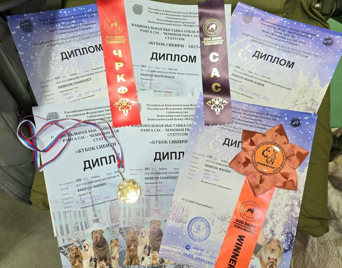 Дипломы и награды выставок «Кубок Сибири-2025»