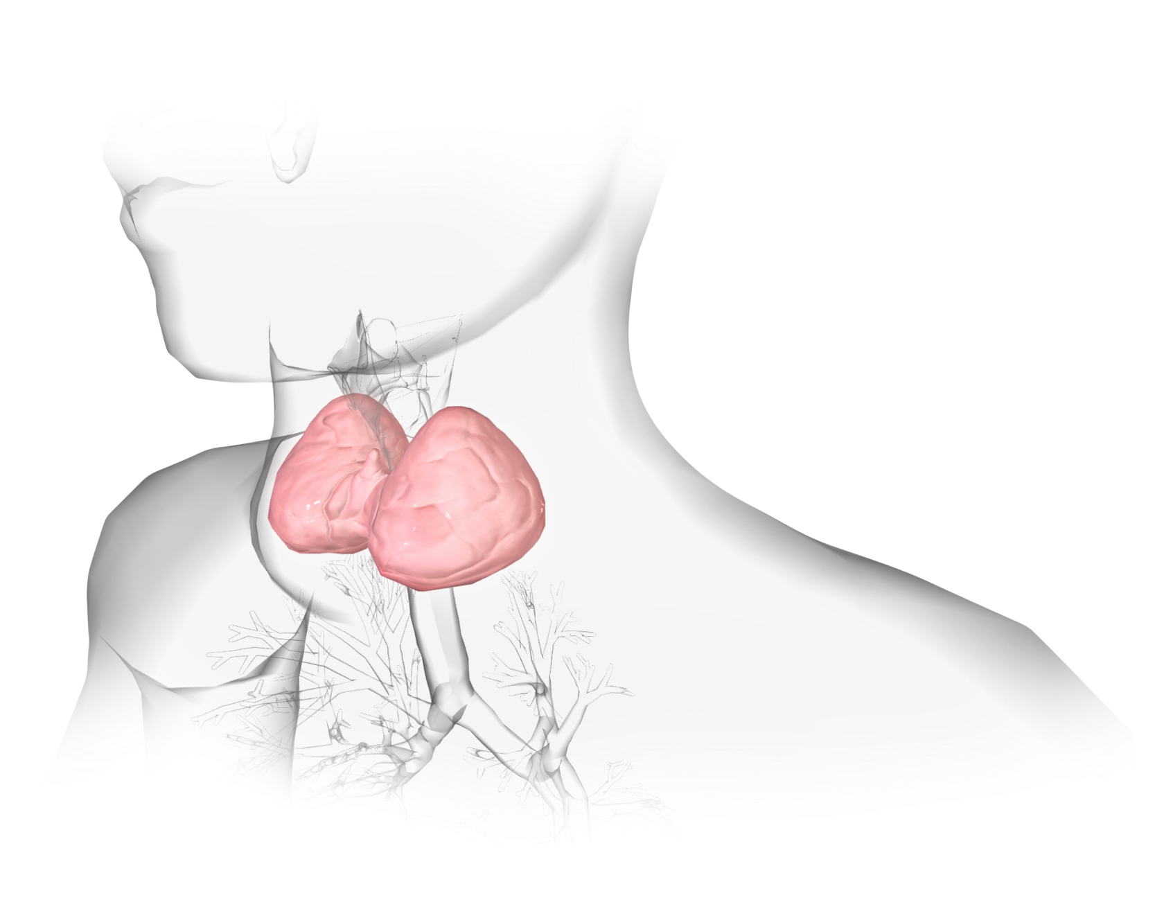 Эндокринология