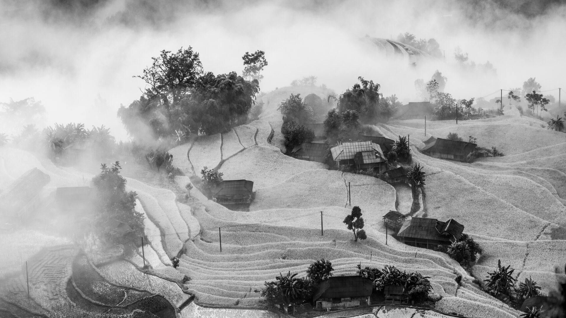 Сергей Михалюк. Рис и образы Вьетнама: Сакральное