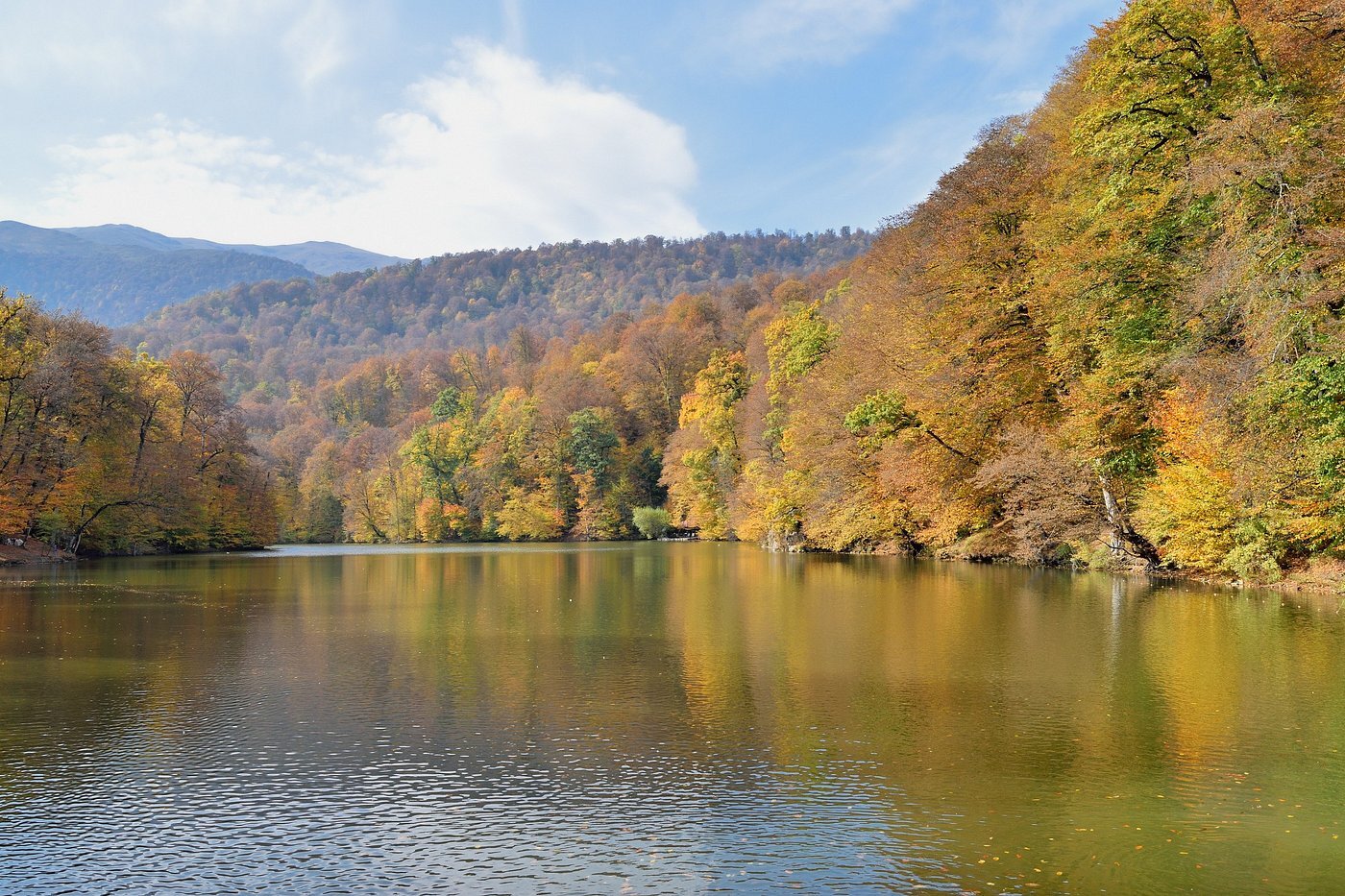 Налоги в Армении