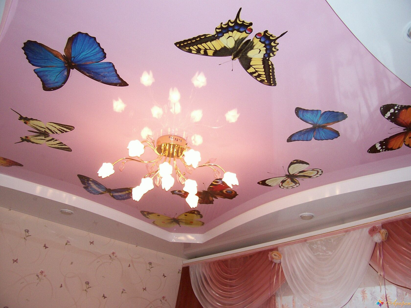 фотопечать бабочек на потолок фото