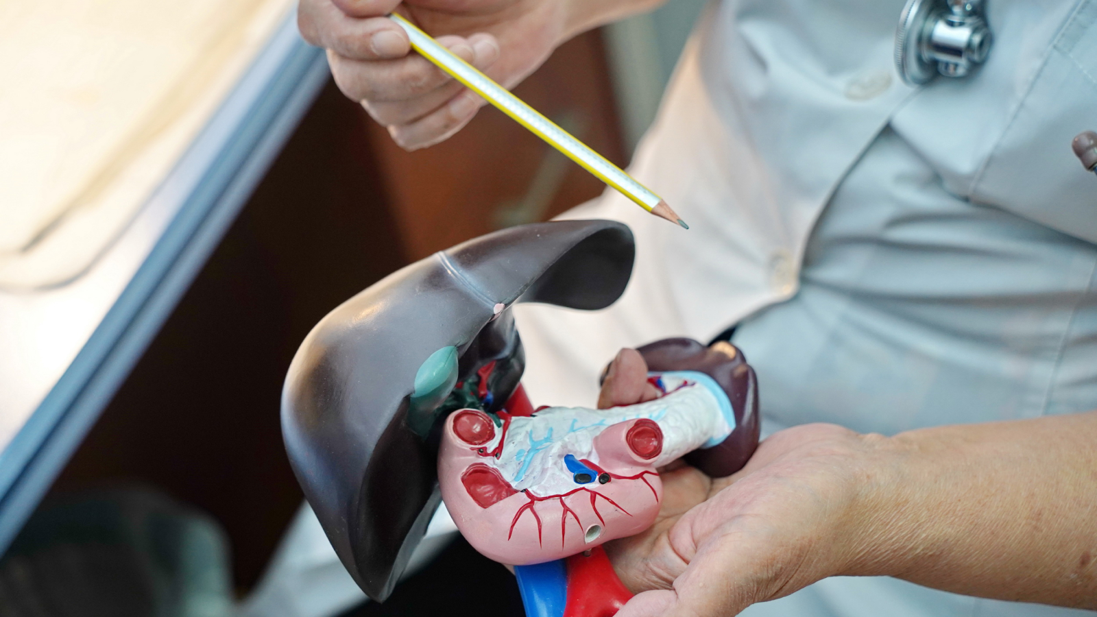 «Болезни молодеют»: врач рассказала о заболеваниях печени