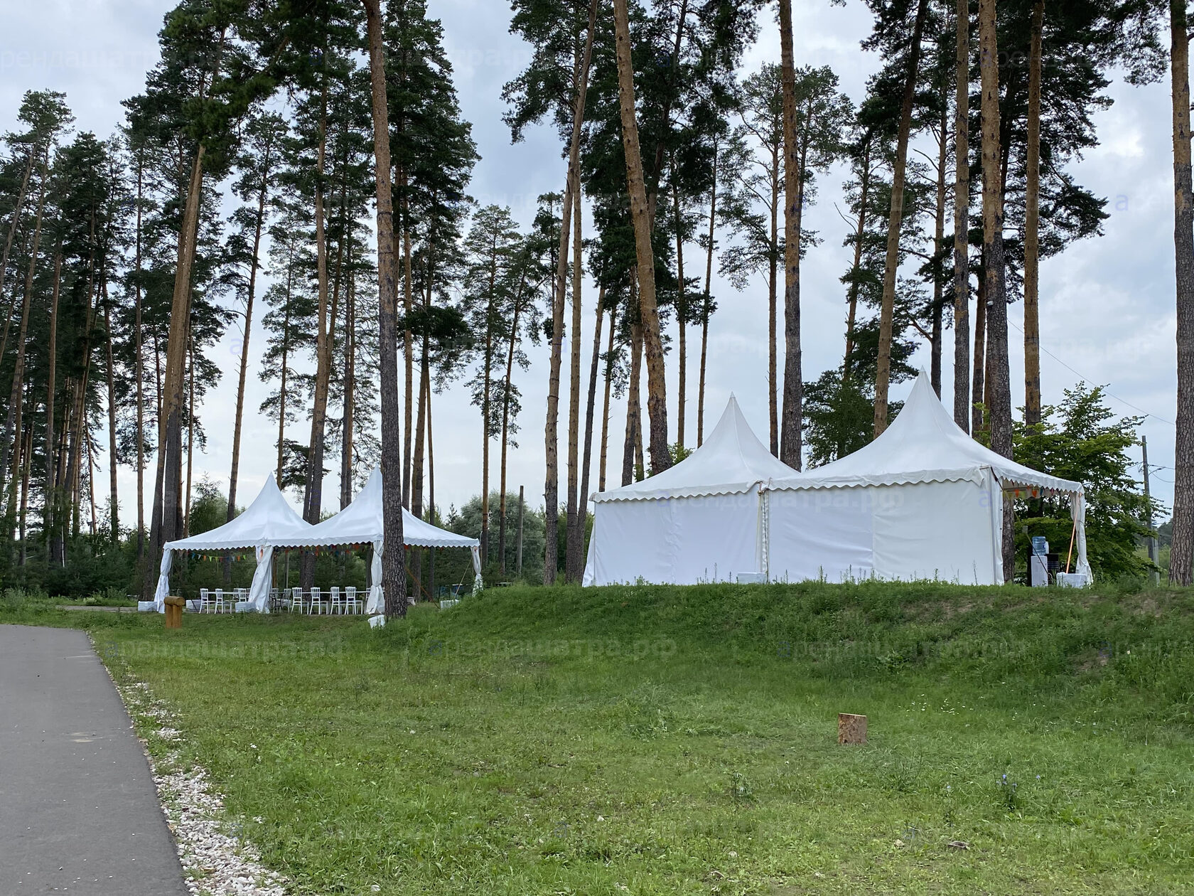 Корпоративное мероприятие на Лебяжьем озере в Казани, фото&nbsp;6