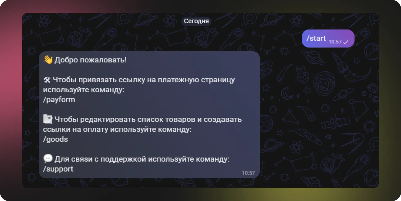 Бот предоставляет способы оплаты - фото
