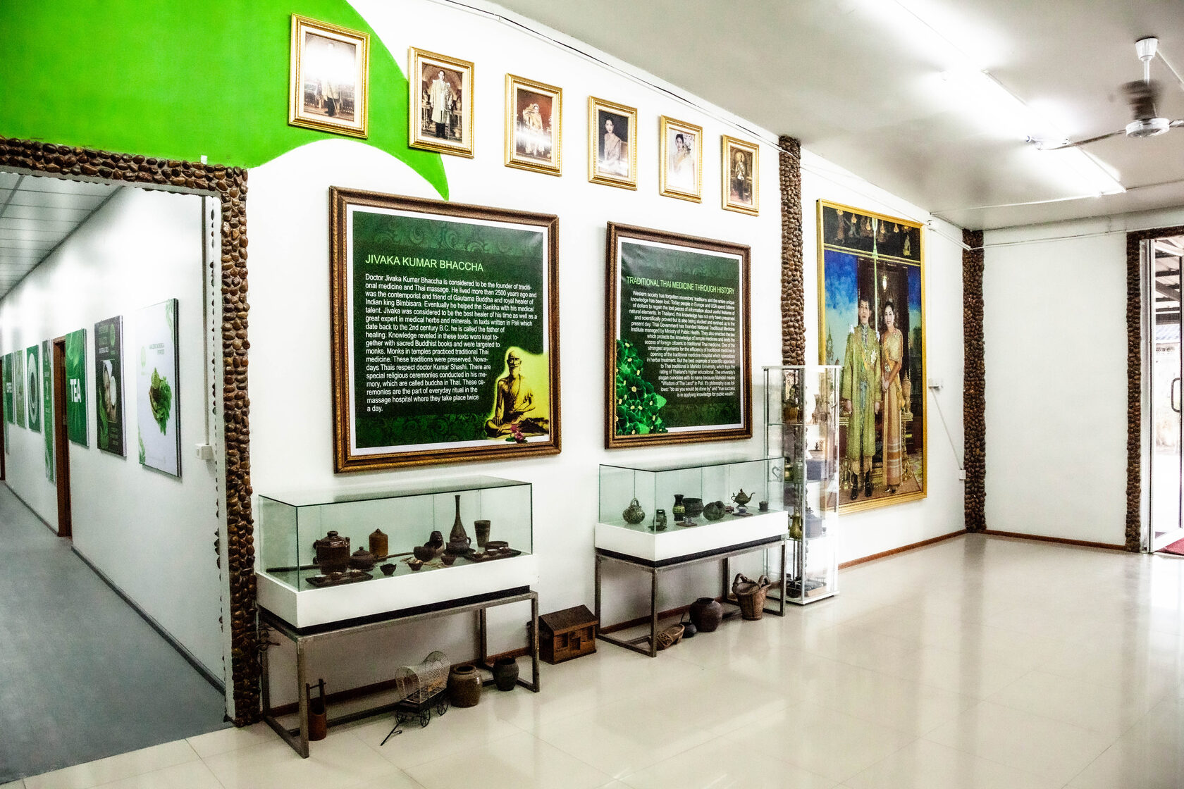 Моринга - Королевские травы. Пхукет.