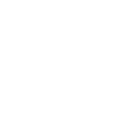 Портретная экспертиза