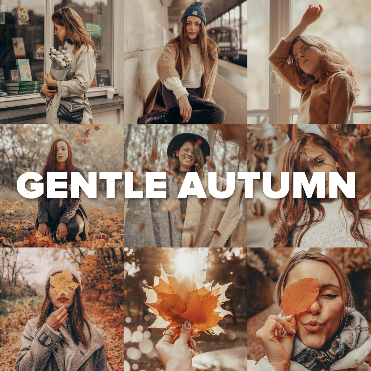Превью Gentle Autumn
