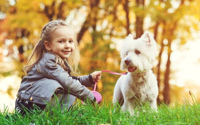домашний питомец в Португалии